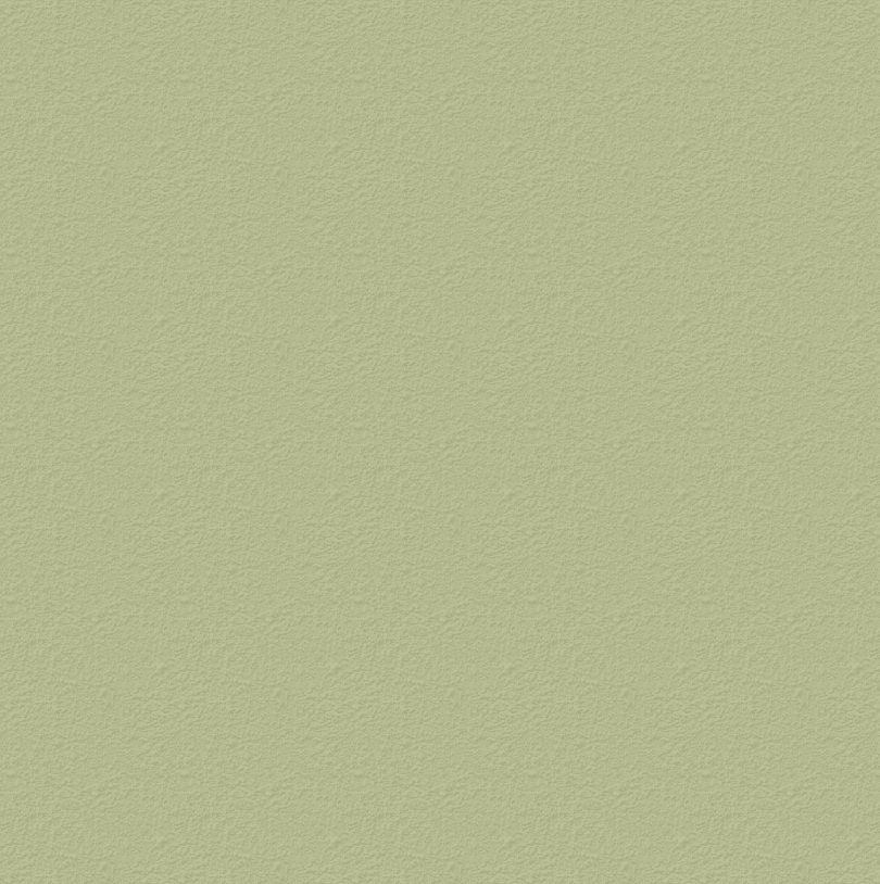 Background pattern for CENTO PALME